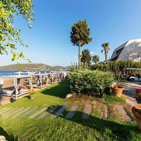 Hotel Regal With Shared Pool Near Beach In Bodrum Golturkbuku